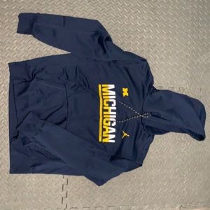 Jordan Michigan hoodie